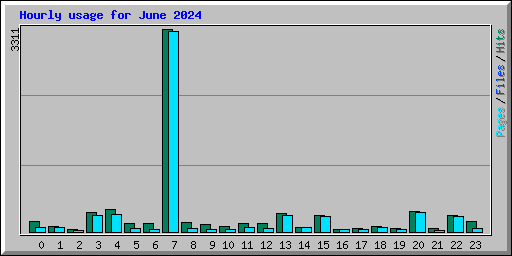 Hourly usage for June 2024